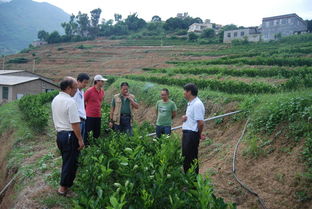 云南省農業廳 云南農業信息網