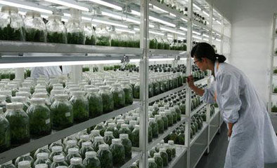 京津冀協同發展 合力打造&ldquo;中國農業硅谷&rdquo;