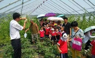 打造一座盈利的農莊,選址要點可以從這幾方面來考慮