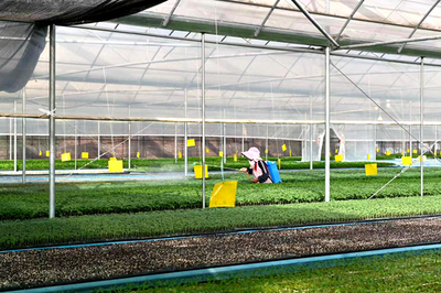 楚雄:經(jīng)濟(jì)發(fā)展提檔升級(jí) 團(tuán)結(jié)奮進(jìn)再譜新篇