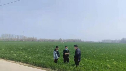 尉氏縣永興鎮(zhèn):&ldquo;科技壯苗&rdquo;服務(wù)到田間地頭 保夏糧豐收