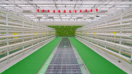 溫室蔬菜種植-科技農業(yè)