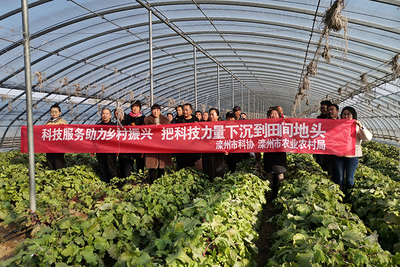 灤州市科協(xié)開(kāi)展科技下鄉(xiāng)助農(nóng)服務(wù)活動(dòng)