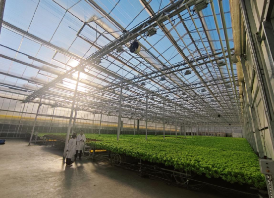 科技小院迎來(lái)首場(chǎng)賽事,力促農(nóng)研技術(shù)落地服務(wù)鄉(xiāng)村振興落地服務(wù)鄉(xiāng)村振興