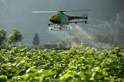 重磅|看京東、金少江、百果園、順豐如何淘金智慧農(nóng)業(yè)