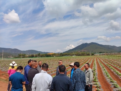 昆明市種子管理站聯(lián)合昆明市烤煙生產(chǎn)辦公室到尋甸縣開(kāi)展科技增糧服務(wù)工作