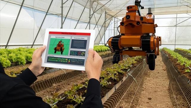 未來農村的發(fā)展格局:養(yǎng)老服務,高科技農業(yè),機械化,自動化