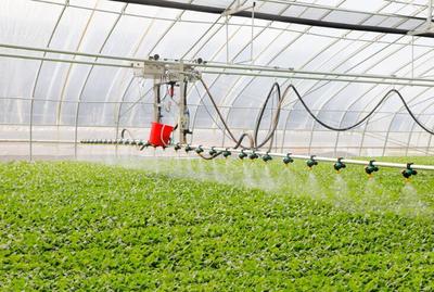 新春走基層丨江蘇濱海:人勤春早農事忙,&ldquo;蔬&rdquo;寫現代農業(yè)新篇章