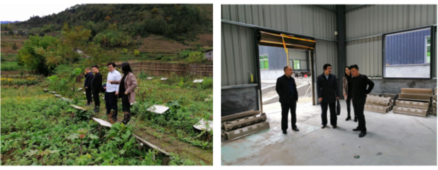 農(nóng)生學(xué)院組織&ldquo;專家團(tuán)隊(duì)&rdquo;深入企業(yè)開(kāi)展科技服務(wù)