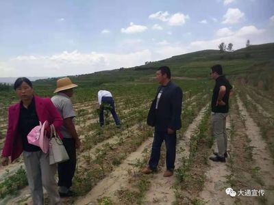 科技助推后山村打贏脫貧攻堅(jiān)戰(zhàn)