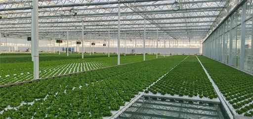 在這里能看到未來農業(yè)的&ldquo;模樣&rdquo;