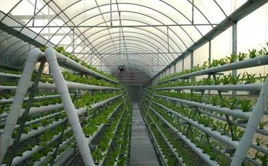 幾種現代精準農業(yè)種植新模式!