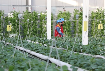 黨員服務隊員們上門走訪。閆蓓供圖