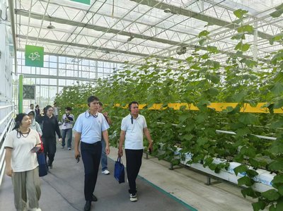 海南農技人員赴山東學習&ldquo;濰坊模式&rdquo; 賦能瓜菜提質增收