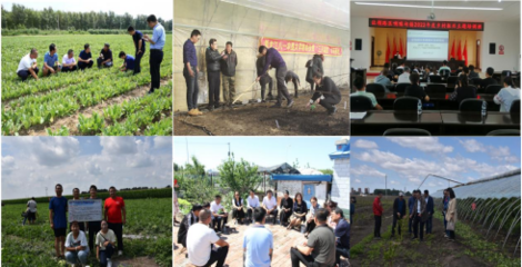 我院&ldquo;創新寒地棚室生產技術 助力鄉村振興產業發展&rdquo; 成功入選教育部省屬高校精準幫扶典型項目